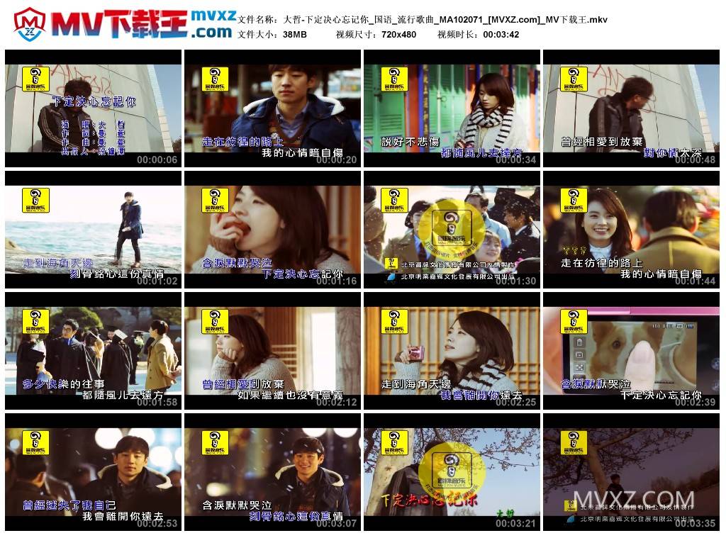 大哲-下定决心忘记你_国语_流行歌曲_MA102071